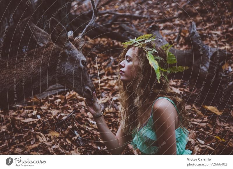 Eine junge schöne junge Frau, die einen Hirsch füttert. Lifestyle kaufen Reichtum elegant Stil Design exotisch Freude Mensch feminin Junge Frau Jugendliche