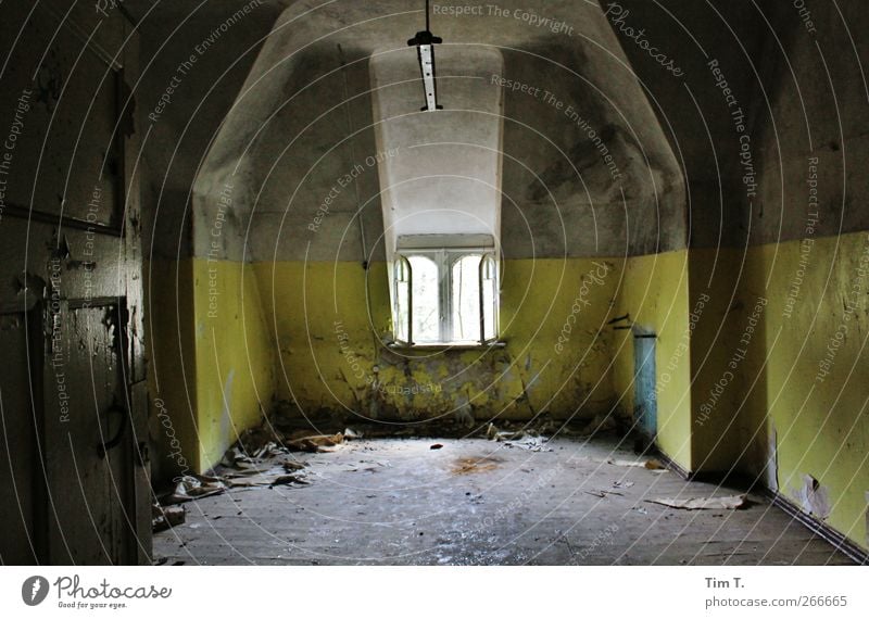 weg Menschenleer Ruine Bauwerk Gebäude Mauer Wand Fenster Sehenswürdigkeit Verfall Vergangenheit Vergänglichkeit Farbfoto Innenaufnahme Tag Licht Schatten