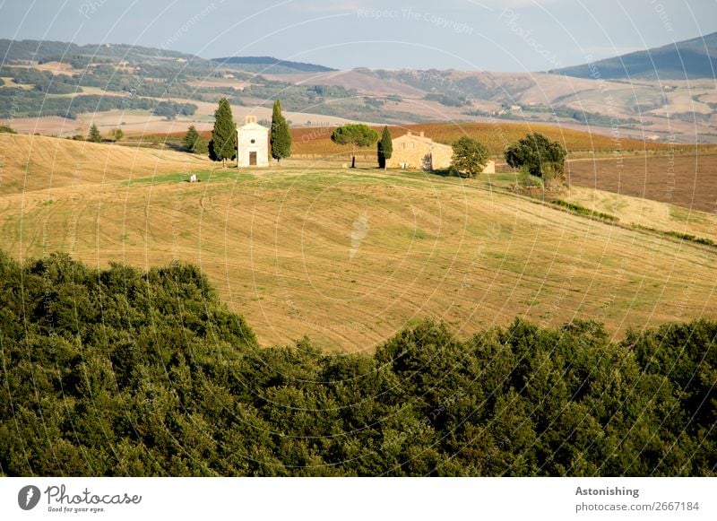 Kapelle in der Ferne I Umwelt Natur Landschaft Pflanze Himmel Horizont Sommer Baum Gras Wiese Feld Wald Hügel Siena Toskana Italien Haus Kirche Mauer Wand