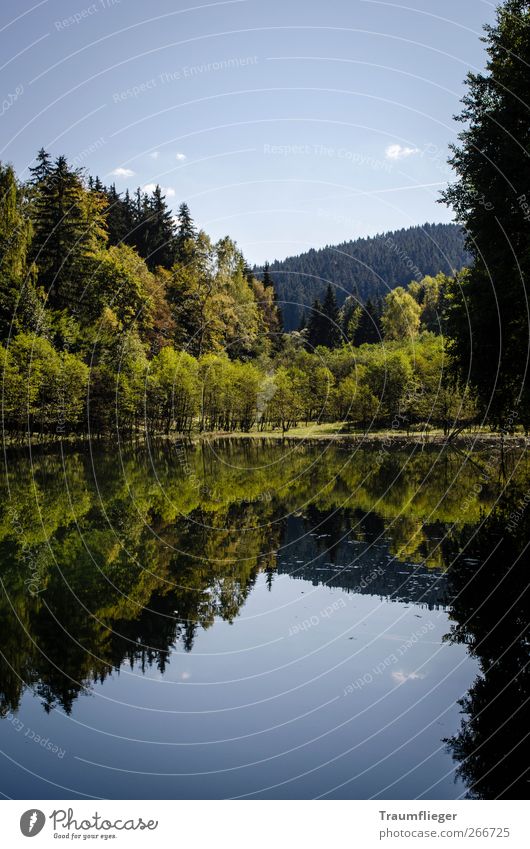 Stille Wasser sind... ruhig Freiheit Sommer Berge u. Gebirge Natur Landschaft Pflanze Schönes Wetter Baum Wald Hügel Seeufer unteres Pumpspeicherwerk Makersbach