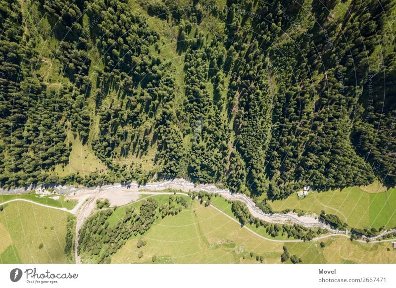 Earth Surfaces Natur Landschaft Erde Luft Wasser Baum Grünpflanze Park Wald Hügel Felsen Alpen Berge u. Gebirge Gipfel Alm beobachten fallen laufen