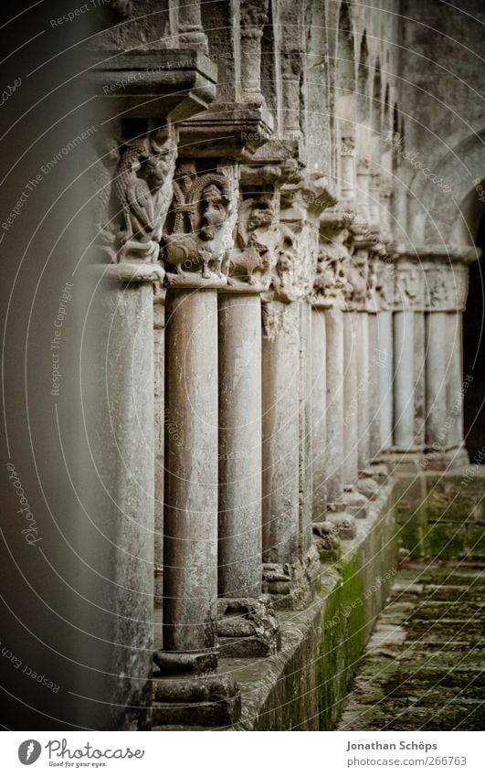 Säulengang Spanien grau heilig Gebäude Architektur Kolonnaden Moos ornamental Stein Kloster Kathedrale Bauwerk fluchtend alt verfallen Gemäuer ruhig