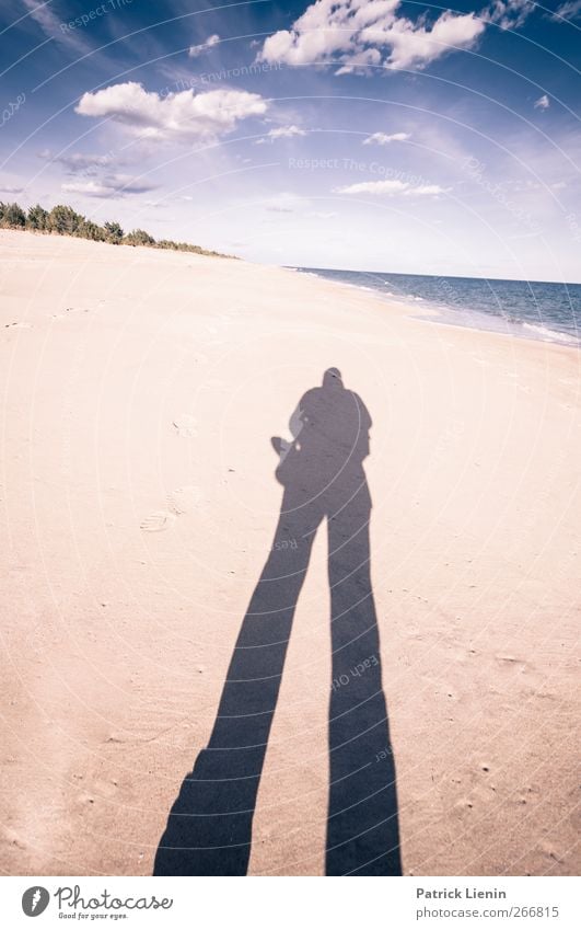 Neues Land Tourismus Ausflug Abenteuer Sommer Strand Mensch Körper 1 Umwelt Natur Landschaft Pflanze Urelemente Sand Luft Himmel Sonne Sonnenlicht Wetter