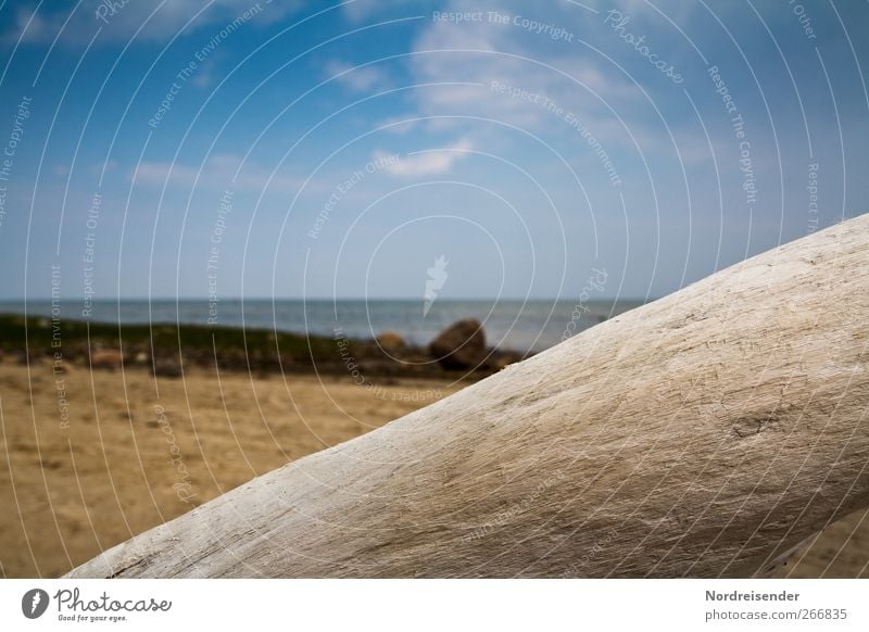 Maritim harmonisch ruhig Ferien & Urlaub & Reisen Ferne Sommer Strand Meer Natur Landschaft Wolken Schönes Wetter Küste Ostsee Holz Erholung blau braun Farbe