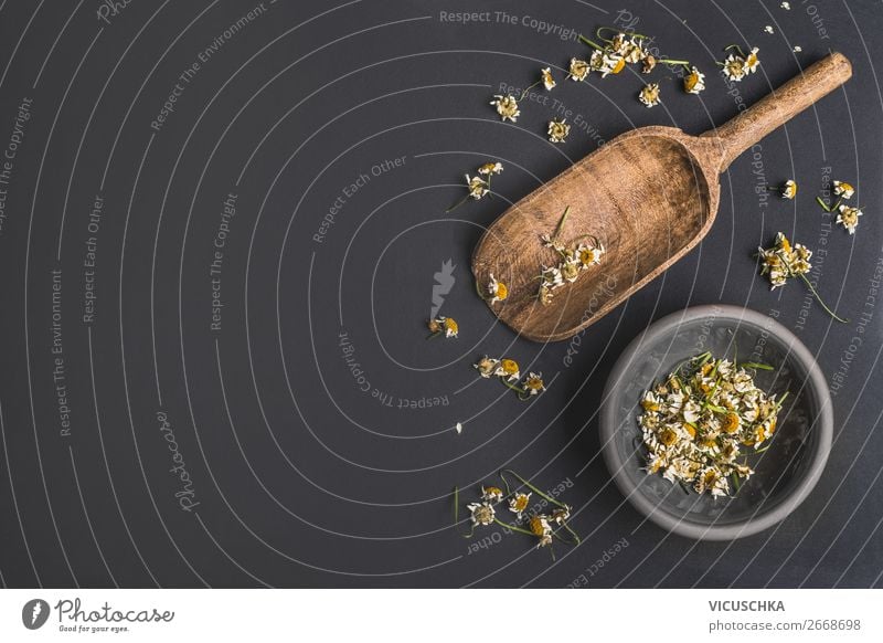 Getrocknete Kamillenblumen Lebensmittel Kräuter & Gewürze Ernährung Bioprodukte Vegetarische Ernährung Diät Design Gesundheit Behandlung Alternativmedizin