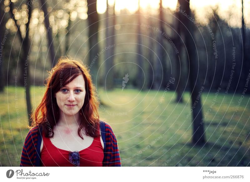 abendlicht in den haaren. Mensch feminin Junge Frau Jugendliche Erwachsene 1 18-30 Jahre Baum Park Wald Lächeln Abenddämmerung Natur rothaarig schön