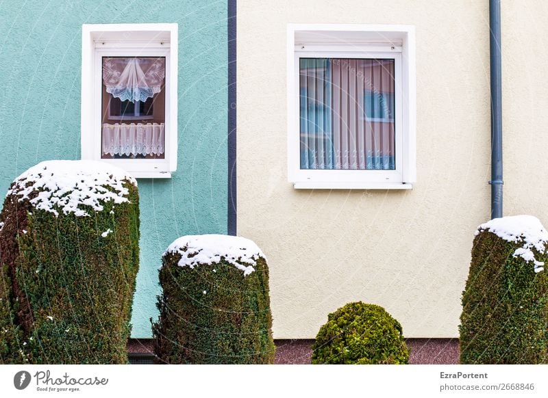 Family Winter Schnee Pflanze Sträucher Stadt Haus Bauwerk Gebäude Architektur Mauer Wand Fassade Fenster Dachrinne Linie kalt grün türkis weiß mehrere Gardine