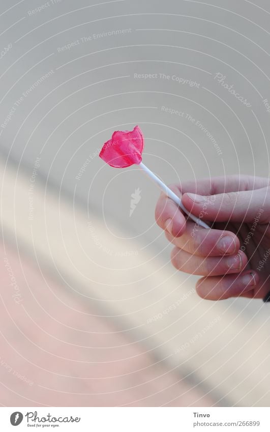 halber roter Lolli in Kinderhand Hand Finger süß grau rosa Lollipop Lutscher lecker angebissen angeknabbert Süßwaren Kindheit Stiel Nascherei Naschwerk Naschi