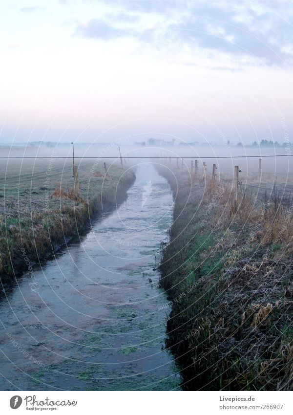 Solzow Umwelt Natur Landschaft Pflanze Himmel Sonnenaufgang Sonnenuntergang Frühling Wetter Nebel Gras Feld Flussufer Wasser blau grau grün Nebelstimmung