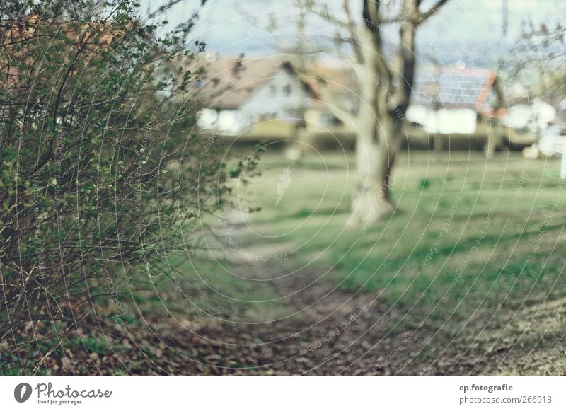 Der Weg vor der Siedlung Natur Landschaft Pflanze Schönes Wetter Gras Sträucher Garten Park Dorf Kleinstadt Menschenleer Haus Einfamilienhaus Stadt Solarzelle