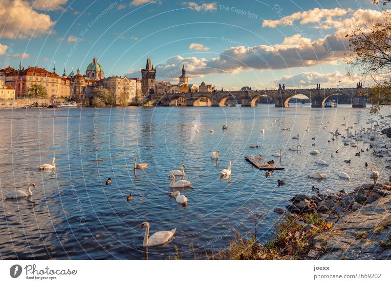 Blick auf Prager Altstadt mit Karlsbrücke Weitwinkel Starke Tiefenschärfe Außenaufnahme Farbfoto Neobarock Strakova Akademie Idylle Horizont mehrfarbig schön