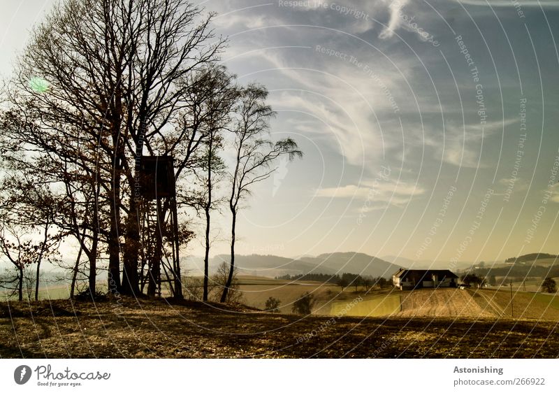 Bauernhof Umwelt Natur Landschaft Pflanze Luft Himmel Wolken Frühling Klima Wetter Schönes Wetter Baum Blatt Wiese Wald Hügel Haus Wege & Pfade hoch blau