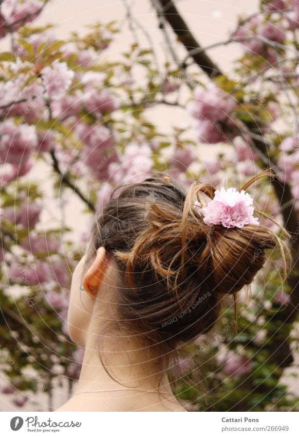 a sweet season Haare & Frisuren feminin Junge Frau Jugendliche 1 Mensch Pflanze Frühling Blume Blüte brünett langhaarig Zopf einfach Freundlichkeit schön