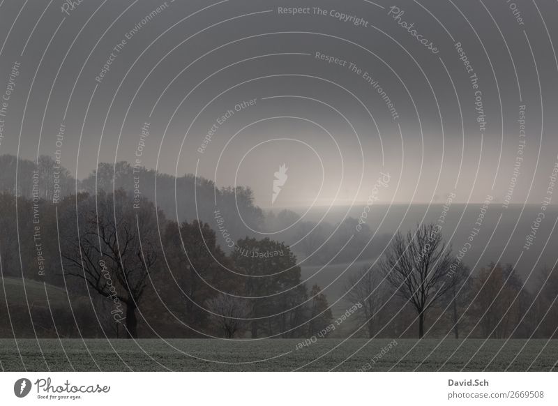 Nebellandschaft - Lommatzscher Pflege Umwelt Natur Landschaft Sonne Herbst schlechtes Wetter Baum Wald Wiese Feld Hügel dunkel grau grün Stimmung Traurigkeit