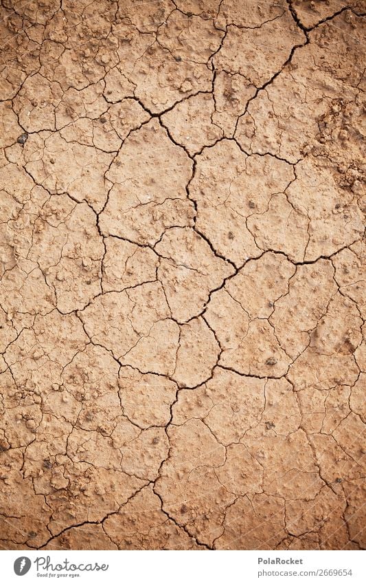 #AS# ErdRiss Umwelt Natur Landschaft Erde ästhetisch Dürre Wüste trocken Trockengebiet Trockental Trockenfeldbau Desertifikation Klimawandel Farbfoto