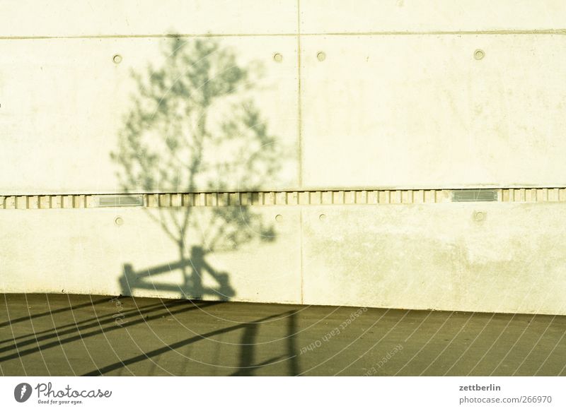 Schatten Umwelt Natur Klima Klimawandel Schönes Wetter Garten Park Kleinstadt Stadt Bauwerk Gebäude Architektur Mauer Wand gut wallroth Baum Beton Farbfoto