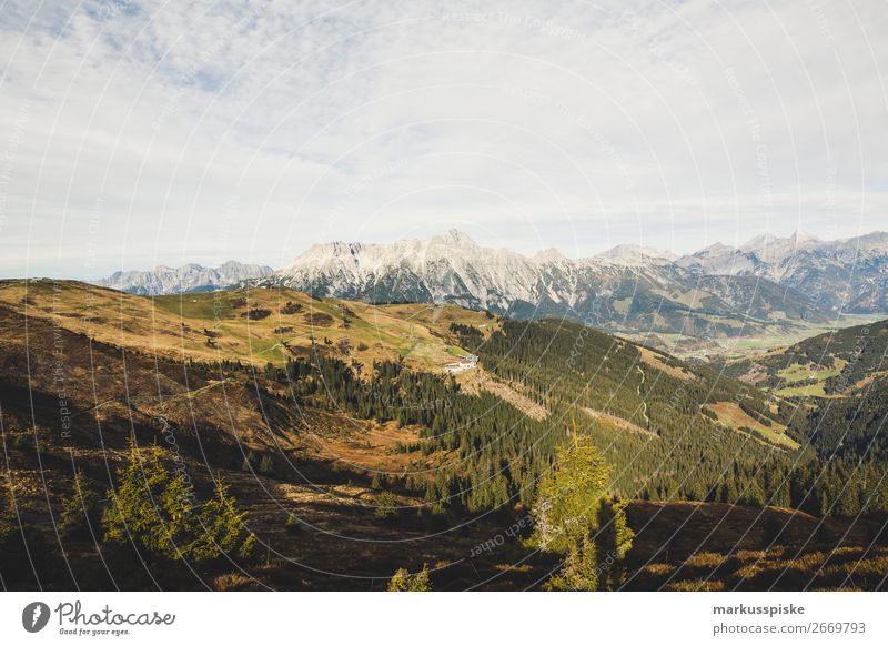 Asitz, Leogang Leben harmonisch Wohlgefühl Zufriedenheit Ferien & Urlaub & Reisen Tourismus Ausflug Abenteuer Ferne Freiheit Expedition Berge u. Gebirge wandern