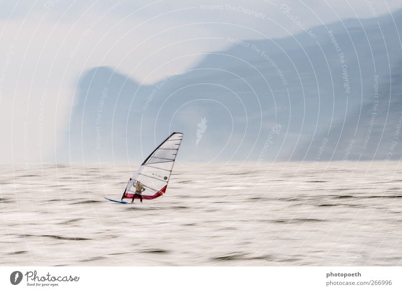 Windsurfer in Torbole, Gardasee 01 Sport Wassersport Sportler Surfbrett Natur Horizont Alpen Berge u. Gebirge Wellen Seeufer Geschwindigkeit Bewegung