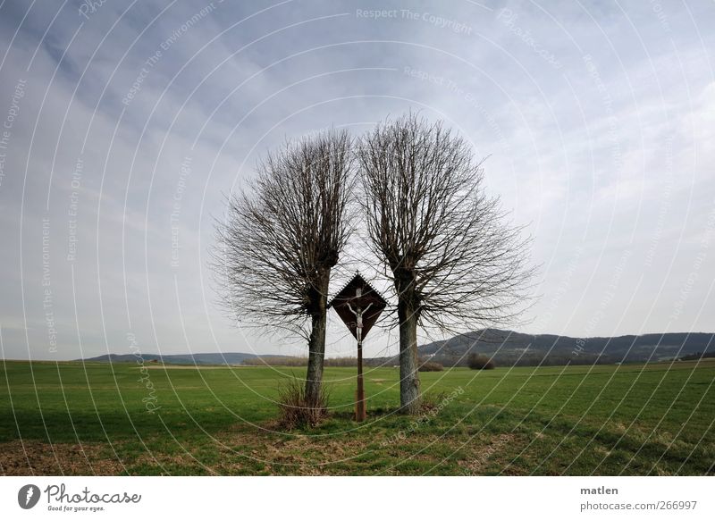 geteiltes Leid Wolken Horizont Frühling Schönes Wetter Baum Gras Wiese Menschenleer Wege & Pfade blau grün Kruzifix Berg Farbfoto Außenaufnahme