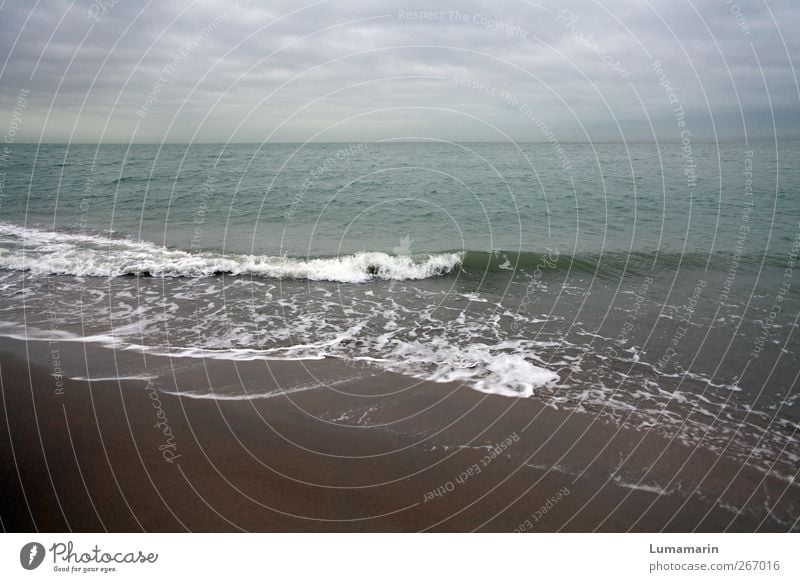 Nordsee Umwelt Landschaft Urelemente Sand Luft Wasser Himmel Wolken Horizont schlechtes Wetter Wellen Küste Strand einfach Ferne groß Unendlichkeit kalt nass