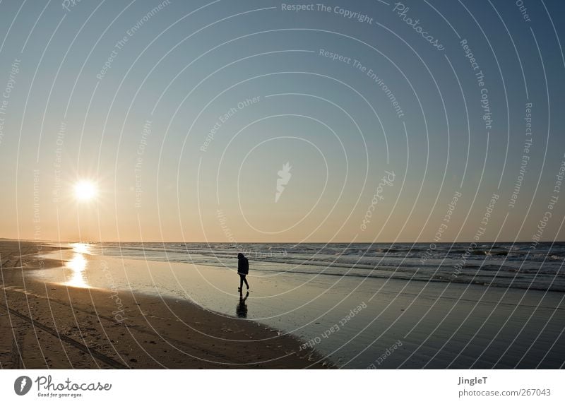 unendlichkeit Ausflug Ferne Freiheit Strand Meer Insel Wellen Natur Landschaft Schönes Wetter Nordsee Ameland Erholung gehen Unendlichkeit blau braun gold