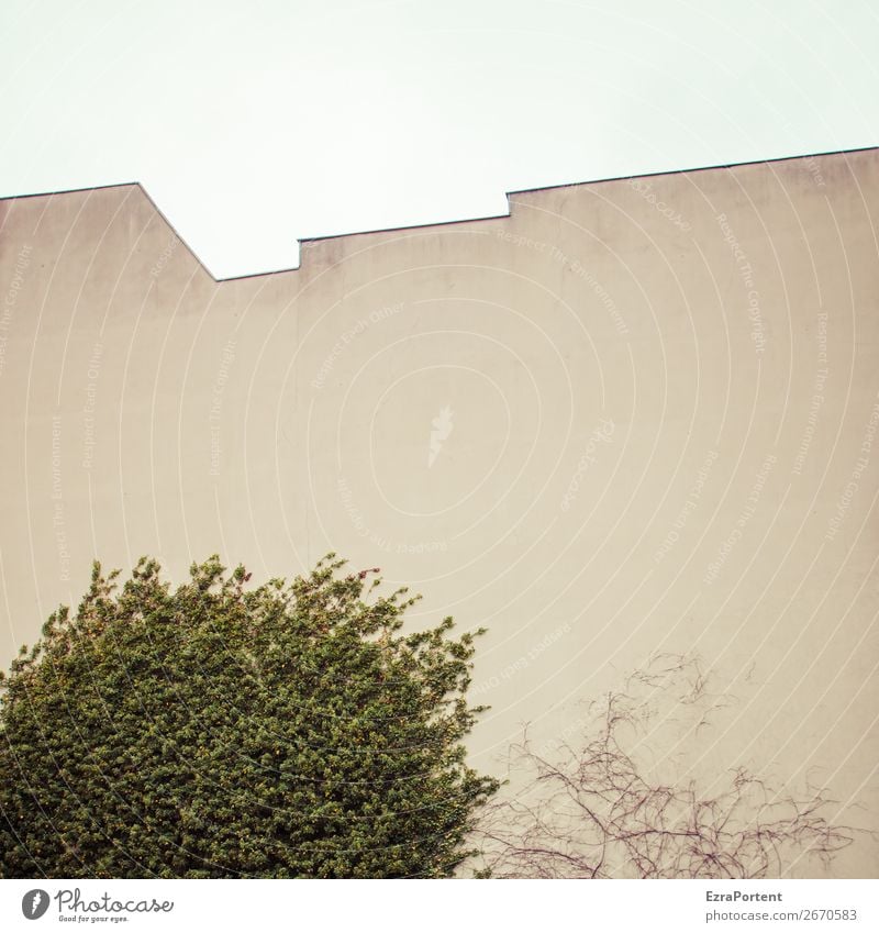 -\-/-/-- Pflanze Baum Stadt Haus Bauwerk Gebäude Architektur Mauer Wand Fassade Dach Beton Linie grau grün leer Brandmauer Zickzack Himmel Blatt Farbfoto