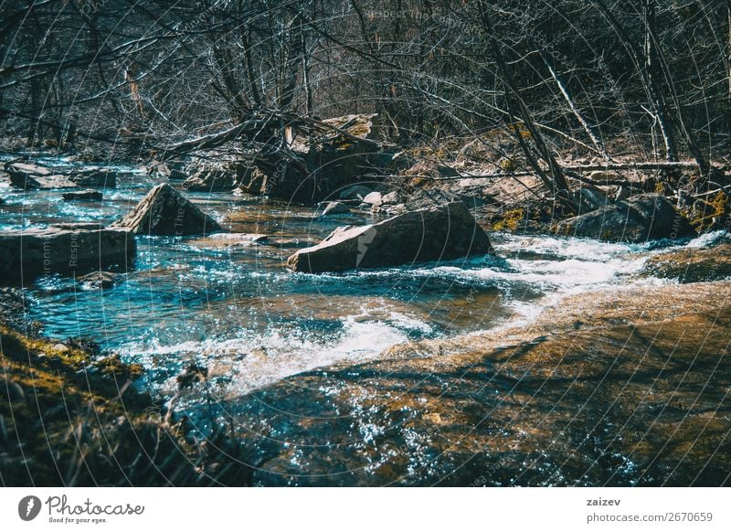 Ein wilder Fluss, der durch große Felsen mit Moos fließt schön Ferien & Urlaub & Reisen Tourismus Abenteuer Wellen Winter Berge u. Gebirge wandern Umwelt Natur