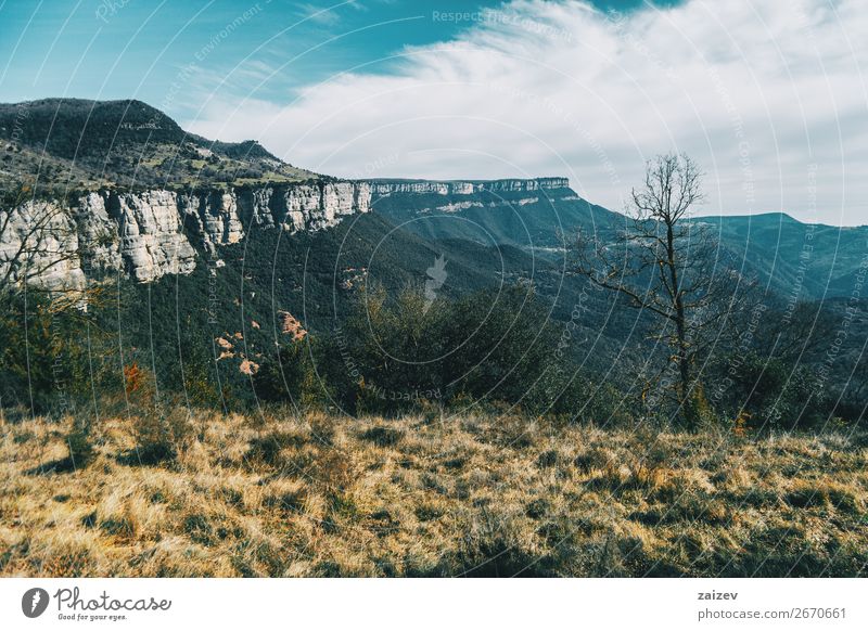 Eine große Klippe, die sich bis in den Himmel erstreckt, und ein kahler Baum auf dem Gras schön Windstille Ferien & Urlaub & Reisen Abenteuer Berge u. Gebirge