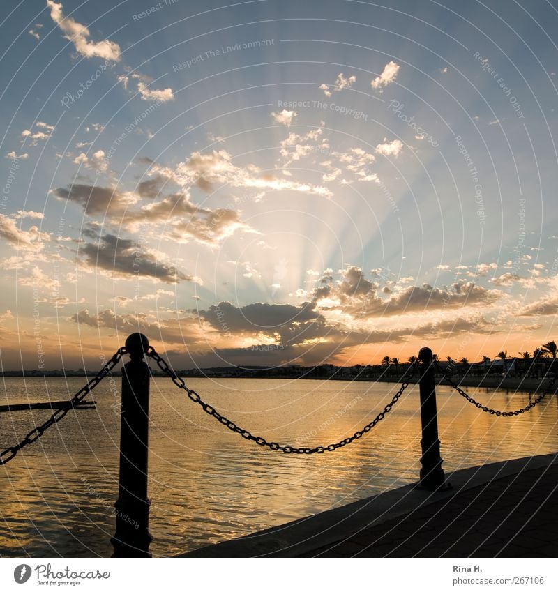 Die letzten Sonnenstrahlen Natur Himmel Wolken Horizont Sonnenaufgang Sonnenuntergang Sommer Herbst Klima Schönes Wetter Küste Meer leuchten gelb gold Gefühle