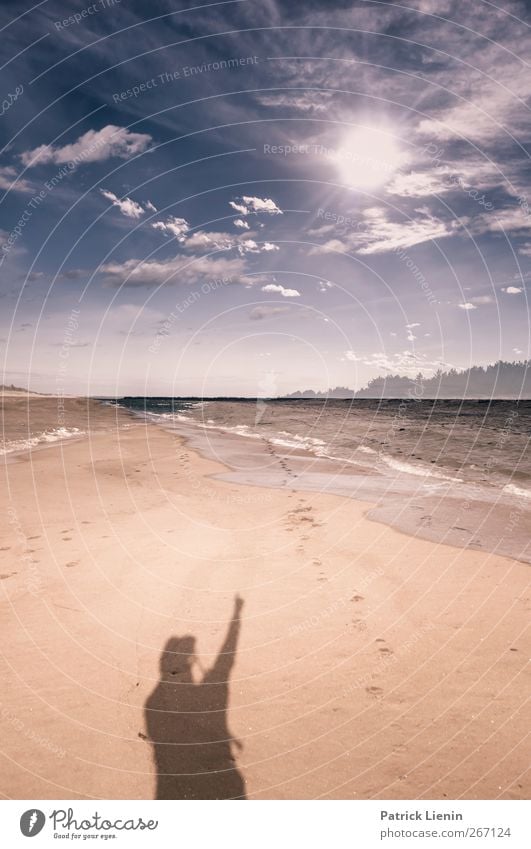 Die 4. Dimension Mensch maskulin Mann Erwachsene 1 Umwelt Natur Landschaft Pflanze Urelemente Sand Luft Himmel Wolken Sonne Sonnenaufgang Sonnenuntergang