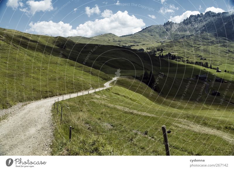 Licht und Schatten Leben harmonisch Erholung ruhig Ferien & Urlaub & Reisen Tourismus Ausflug Abenteuer Ferne Freiheit wandern Umwelt Natur Landschaft Himmel