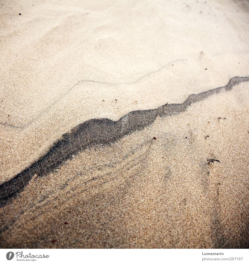 Erinnerungen Umwelt Urelemente Sand Strand Linie Streifen fest nah natürlich schön weich erleben Ewigkeit Ferien & Urlaub & Reisen Symmetrie Vergangenheit