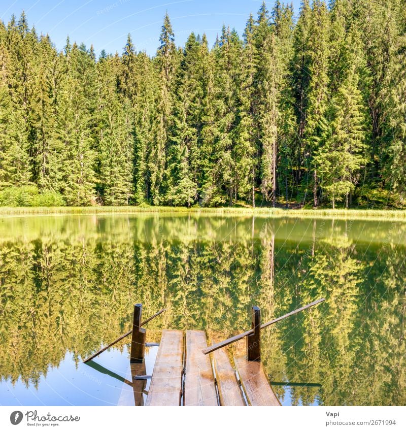 Waldsee in den Bergen schön Erholung Ferien & Urlaub & Reisen Sommer Sommerurlaub Sonne Berge u. Gebirge Umwelt Natur Landschaft Pflanze Wasser Himmel