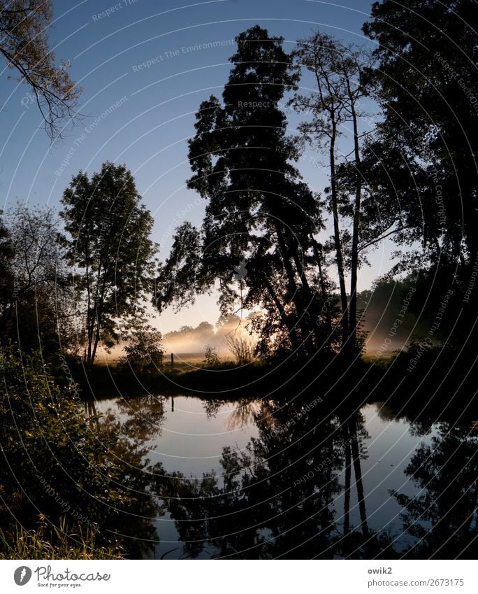 Schleierhafter Morgen Umwelt Natur Landschaft Pflanze Wolkenloser Himmel Horizont Herbst Schönes Wetter Nebel Baum Sträucher Flussufer leuchten kalt