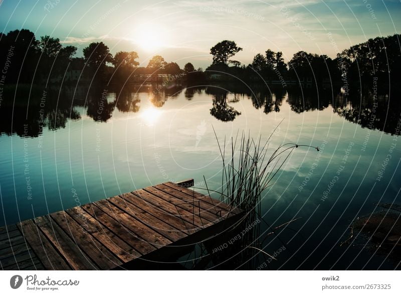 Stegreif Umwelt Natur Landschaft Pflanze Wasser Himmel Wolken Horizont Sonne Schönes Wetter Baum Sträucher Küste Seeufer Bernsdorfer See Holz leuchten ruhig