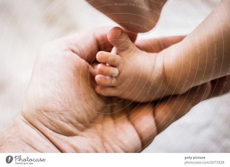 Babyfüße in Erwachsenenhand Lifestyle harmonisch Wohlgefühl Zufriedenheit Sinnesorgane Kind Mann Eltern Familie & Verwandtschaft Kindheit Jugendliche Leben Hand