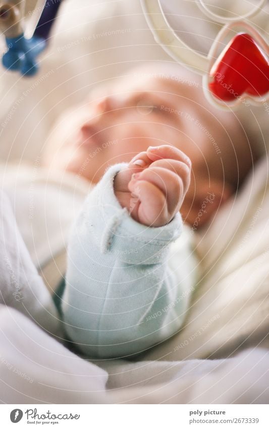 Spielendes Baby Lifestyle harmonisch Wohlgefühl Zufriedenheit Sinnesorgane Erholung Kind Familie & Verwandtschaft Kindheit Jugendliche Körper Hand 0-12 Monate