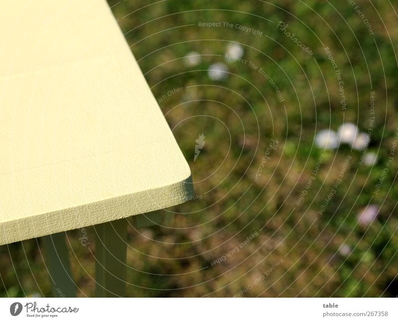 GartenTischEcke Umwelt Natur Frühling Sommer Schönes Wetter Wiese Holz stehen Wachstum eckig neu Sauberkeit gelb grün Frühlingsgefühle Vorfreude Warmherzigkeit