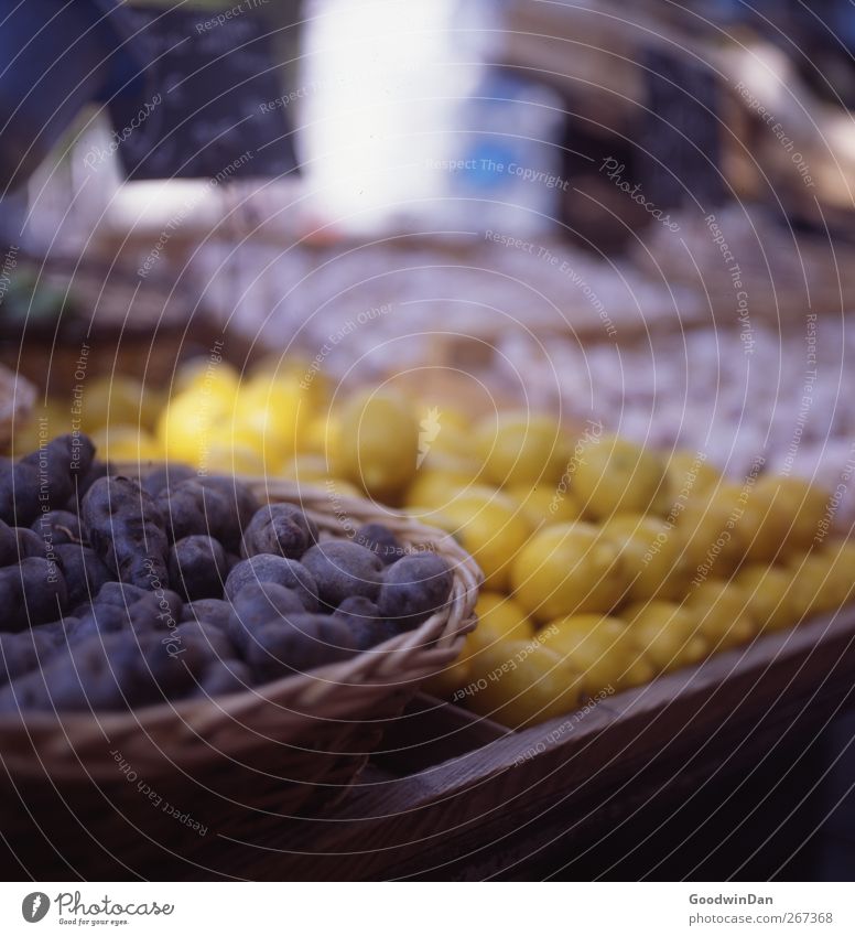 Geschmäcker Frankreichs. Lebensmittel Kartoffeln Zitrone Ernährung Marktstand frisch Billig gut lecker viele Farbfoto Außenaufnahme Menschenleer Tag Licht