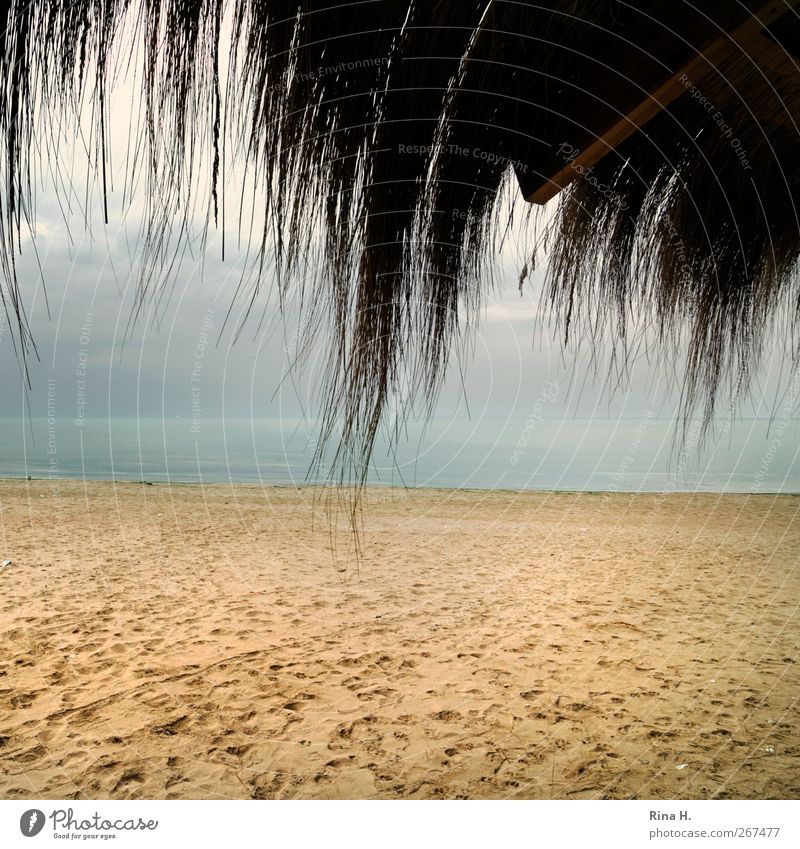 SaisonEnde Ferien & Urlaub & Reisen Tourismus Strand Meer Natur Landschaft Wolken Gewitterwolken Horizont Herbst schlechtes Wetter Unwetter Küste natürlich