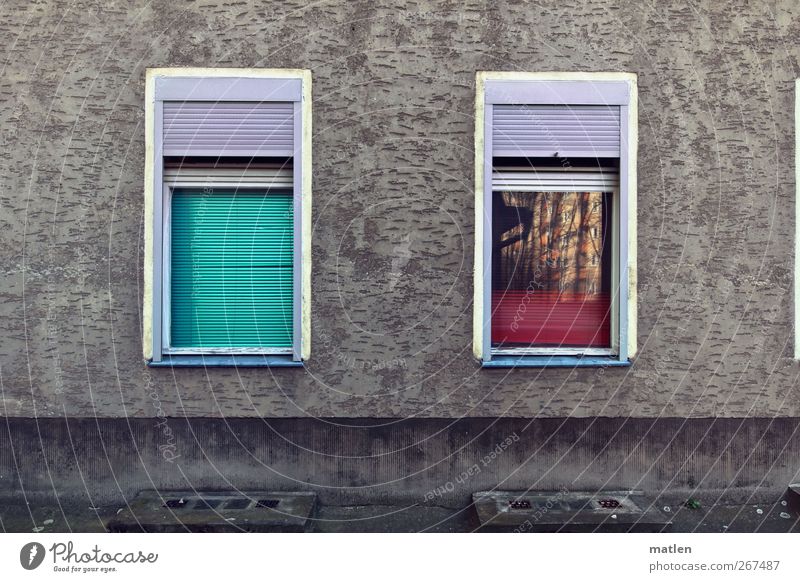 Kiez-zwinkern Stadt Menschenleer Haus Mauer Wand Fassade Fenster Rollladen grün rosa rot weiß hochgezogen runterlassen Reflexion & Spiegelung Kellerfenster