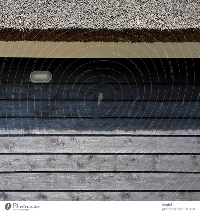 grenzlinie Haus Lampe Dach Reetdach Fassade Fassadenverkleidung Holz Einfamilienhaus Architektur Ferienhaus Mauer Wand Blick braun vernünftig nachhaltig Ameland