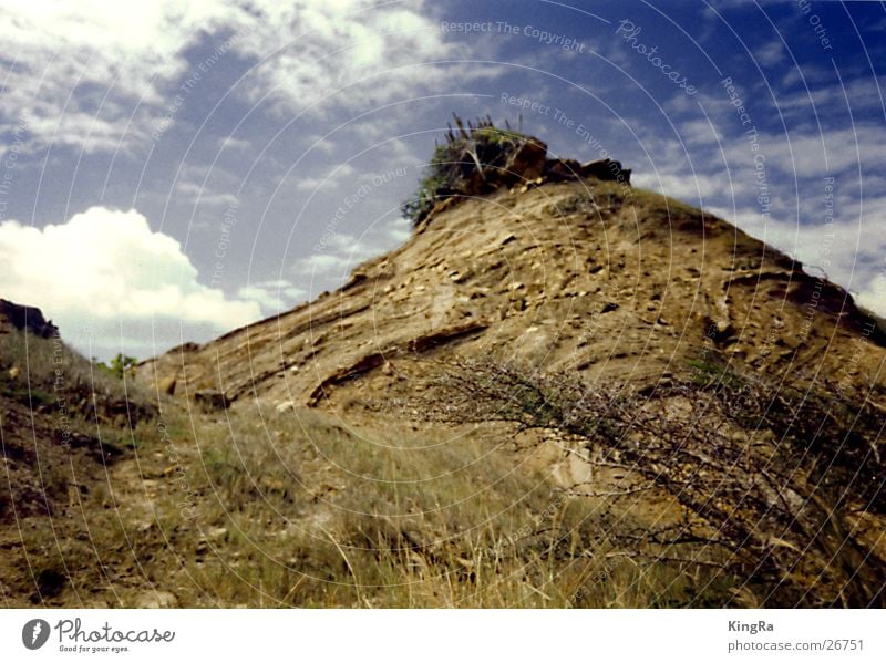 Hügel rund Sträucher Kaktus Gras Sand Berge u. Gebirge Himmel Erde Kakteenen