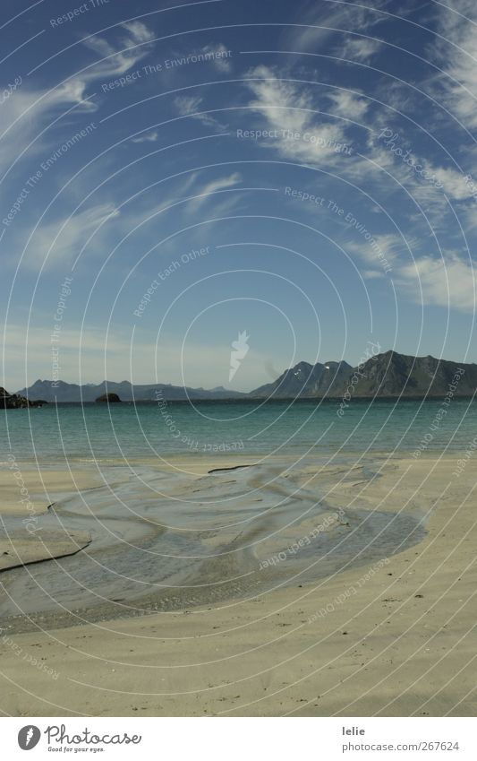 Hinein ins Glück Umwelt Natur Landschaft Sand Luft Wasser Himmel Wolken Sommer Schönes Wetter Wellen Küste Strand Fjord Meer Menschenleer blau braun weiß