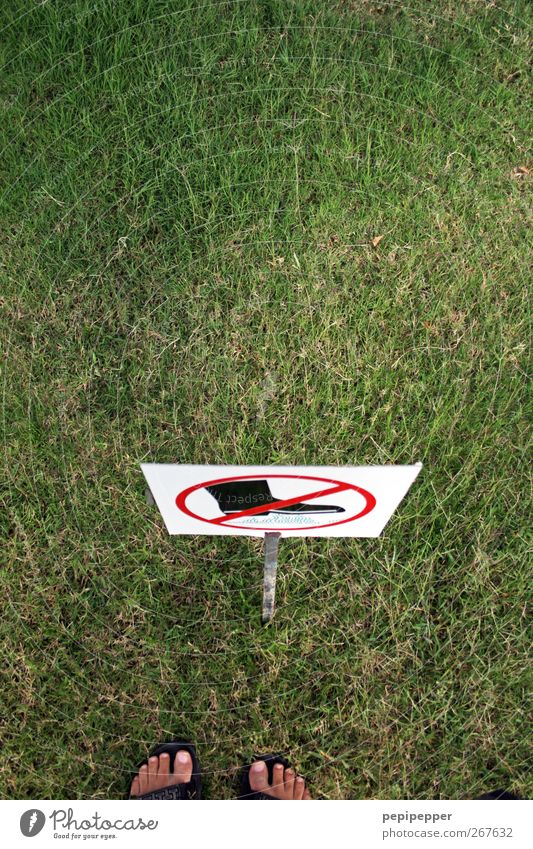 betretenes betreten Garten Mann Erwachsene Fuß 1 Mensch Gras Park Wiese Schuhe Stiefel Zeichen Schilder & Markierungen Hinweisschild Warnschild stehen grün