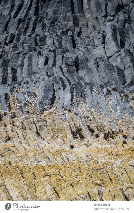 Basaltsäulen Ferien & Urlaub & Reisen Insel Dekoration & Verzierung Kunst Kunstwerk Umwelt Natur Landschaft Erde Stein natürlich gelb grau Willensstärke Macht