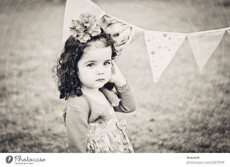 Looking pretty feminin Kind Kleinkind Mädchen Kindheit 1 Mensch 3-8 Jahre brünett krause Haare schön klein weich friedlich unschuldig Drarock Standarte