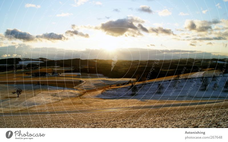 Winterlandschaft Umwelt Natur Landschaft Pflanze Himmel Wolken Horizont Sonne Sonnenaufgang Sonnenuntergang Sonnenlicht Klima Wetter Schönes Wetter Baum Wiese