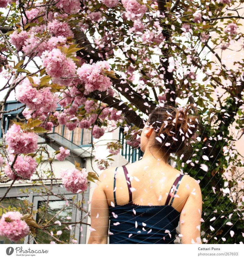 Spring Storm feminin Junge Frau Jugendliche 1 Mensch Pflanze Frühling Baum Blatt Blüte Stoff Top brünett Dutt Zopf Bewegung stehen schön einzigartig natürlich