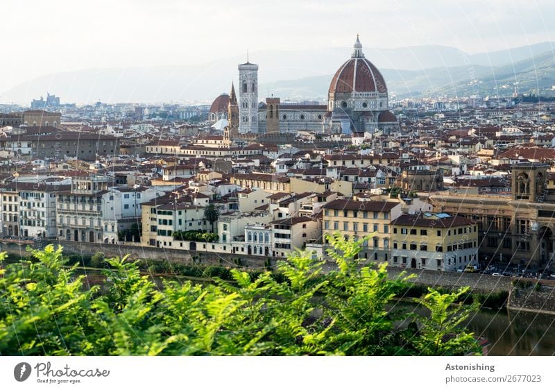 Dom Umwelt Natur Landschaft Horizont Sommer Wetter Schönes Wetter Baum Blatt Hügel Berge u. Gebirge Florenz Italien Stadt Stadtzentrum Altstadt Haus Kirche Turm